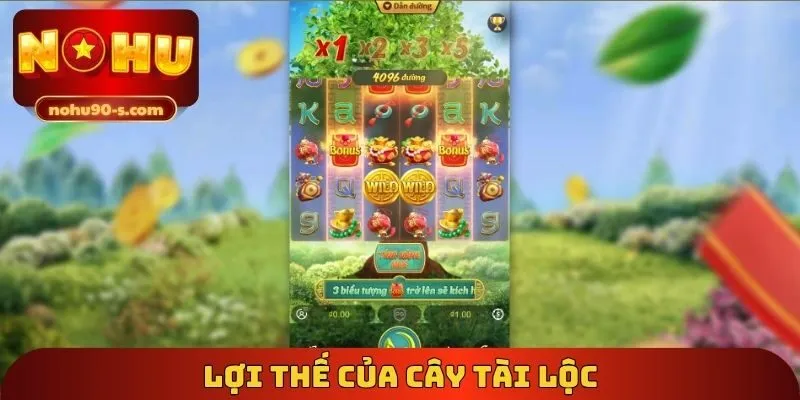 Lợi thế của cây tài lộc